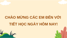 Giáo án Powerpoint Tuần 7 HĐTN lớp 4 Cánh diều (Phiên bản 2)