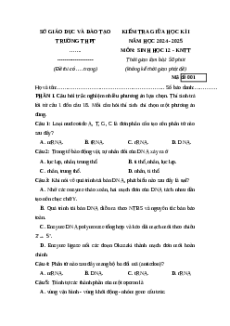 Đề thi giữa kì 1 Sinh học 12 Kết nối tri thức 2024 (Đề 1)