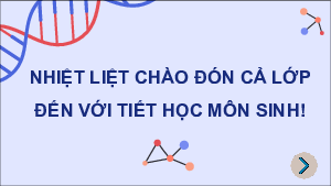 Bài giảng Powerpoint Sinh học 12 Cánh diều