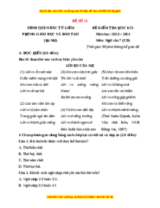 Đề thi cuối kì 1 Ngữ Văn 7 Cánh diều (Đề 11)