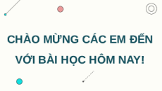 Giáo án Powerpoint Ôn tập Chương 2 Sinh học 12 Chân trời sáng tạo