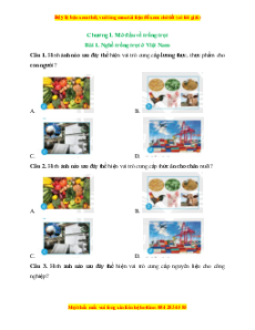 Bộ trắc nghiệm Công nghệ 7 Chân trời sáng tạo có đáp án