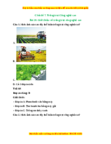 Trắc nghiệm Bài 20: Giới thiệu về trồng trọt công nghệ cao Công nghệ 10 Cánh diều