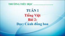 Giáo án Powerpoint Bài 2: Cánh đồng hoa Tiếng Việt lớp 5 Kết nối tri thức