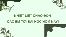 Giáo án Powerpoint Bài 22 Sinh học 11 Chân trời sáng tạo: Thực hành: Quan sát sự sinh trưởng và phát triển ở sinh vật