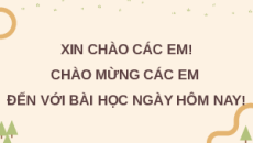 Giáo án Powerpoint Bài 9: Các nhóm thủy sản và phương thức nuôi phổ biến Công nghệ 12 Kết nối tri thức