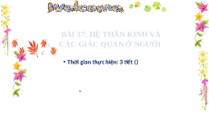 Giáo án Powerpoint Hệ thần kinh và các giác quan ở người Sinh học - KHTN 8 Kết nối tri thức