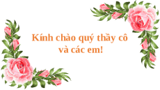 Giáo án Powerpoint Thực hành tiếng Việt trang 110 Ngữ văn 11 Kết nối tri thức