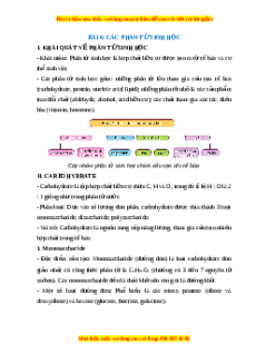 Lý thuyết Sinh học 10 Cánh diều Bài 6: Các phân tử sinh học