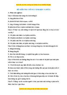 Đề thi cuối kì 2 Sinh học 11 Kết nối tri thức (Đề 3)