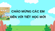 Giáo án Powerpoint Viết: Tìm hiểu cách viết đơn (trang 104) Tiếng việt lớp 4 Kết nối tri thức (Phiên bản 2)