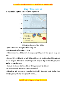 Lý thuyết Sinh học 10 Chân trời sáng tạo Bài 8: Tế bào nhân sơ