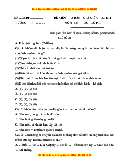 Đề thi giữa kì 1 Sinh học 11 Kết nối tri thức (đề 2)