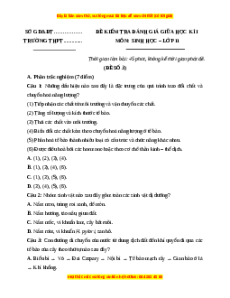 Đề thi giữa kì 1 Sinh học 11 Kết nối tri thức (đề 2)