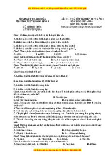 Đề thi thử tốt nghiệp Sinh học trường THPT Hoằng Hóa 3 năm 2024