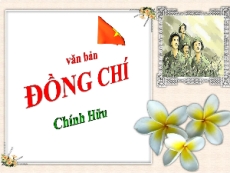 Giáo án Powerpoint Đồng chí Ngữ văn 9