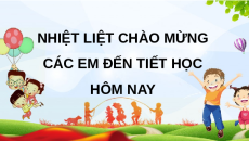 Giáo án Powerpoint Thực hành và trải nghiệm Chơi cắm cờ (trang 81) Toán lớp 2 Chân trời sáng tạo (phiên bản 2)