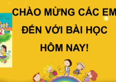 Giáo án Powerpoint Bài 23: Thế giới loài chim Tiếng việt lớp 2 Cánh diều