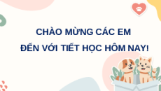 Giáo án Powerpoint Các yếu tố ảnh hưởng đến hô hấp tế bào Sinh học - KHTN 7 Cánh diều