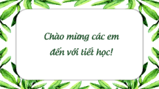 Giáo án Powerpoint Viết bài luận về bản thân Ngữ văn 10 Cánh diều