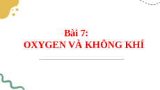 Giáo án Powerpoint Bài 7: Oxygen và không khí KHTN 6 Cánh diều