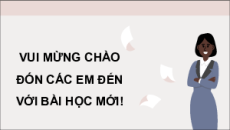 Giáo án Powerpoint Bài 6: Khái niệm và nguyên tắc cơ bản của pháp luật hình sự Việt Nam Chuyên đề Kinh tế pháp luật 10 Kết nối tri thức