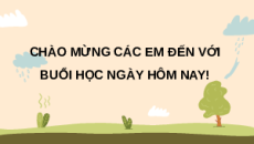 Giáo án Powerpoint Bài 2: Cây trồng và yếu tố chính trong trồng trọt 10 Kết nối tri thức