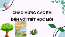 Giáo án Powerpoint Viết: Viết hướng dẫn thực hiện một công việc (trang 99) Tiếng việt lớp 4 Kết nối tri thức (Phiên bản 2)