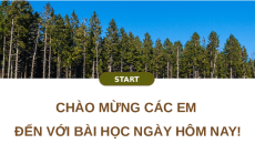 Giáo án Powerpoint Bài 1: Vai trò và triển vọng của lâm nghiệp Công nghệ Lâm nghiệp thủy sản 12 Kết nối tri thức