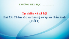 Giáo án Powerpoint Bài 23: Chăm sóc và bảo vệ cơ quan thần kinh Tự nhiên xã hội lớp 3 Kết nối tri thức