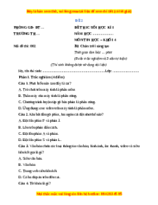 Đề thi cuối kì 1 Tin học lớp 4 Chân trời sáng tạo - Đề 2