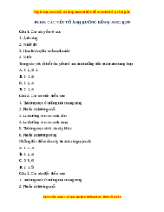 Trắc nghiệm Các yếu tố ảnh hưởng đến quang hợp KHTN 7 Cánh diều