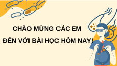 Giáo án Powerpoint Cấu trúc của tế bào nhân thực Sinh học 10 Cánh diều