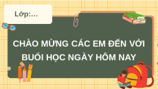 Giáo án Powerpoint Bài 8: Trồng, chăm sóc và bảo vệ rừng Công nghệ 7 Kết nối tri thức