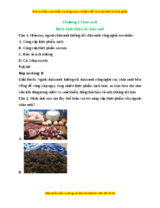 Trắc nghiệm Công nghệ 7 Bài 9 Kết nối tri thức: Giới thiệu về chăn nuôi