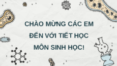 Giáo án Powerpoint Miễn dịch ở người và động vật Sinh học 11 Kết nối tri thức