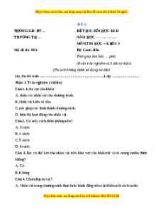 Đề thi cuối kì 2 Tin học lớp 4 Cánh diều (Đề 4)