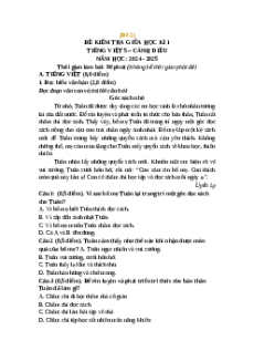 Đề thi giữa kì 1 Tiếng Việt lớp 5 Cánh diều (Đề 2)