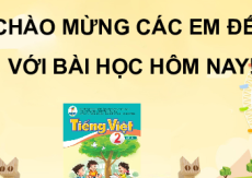 Giáo án Powerpoint Bài 25: Thế giới rừng xanh Tiếng việt lớp 2 Cánh diều