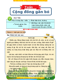 Bài tập cuối tuần Tiếng việt lớp 3 Tuần 14 Kết nối tri thức (có lời giải)