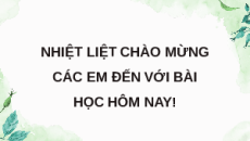 Giáo án Powerpoint Bài 27: Sinh thái học phục hồi và bảo tồn Sinh học 12 Chân trời sáng tạo