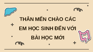 Giáo án Powerpoint Hệ vận động ở người Sinh học - KHTN 8 Cánh diều