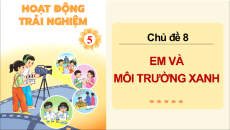 Giáo án Powerpoint Tuần 29 HĐTN lớp 5 Chân trời sáng tạo (Bản 1)