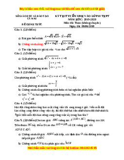 Đề thi vào 10 môn Toán tỉnh Cà Mau năm 2020