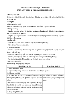 Giáo án Bài 3 Công nghệ lớp 4 Cánh diều: Một số loại cây cảnh phổ biến