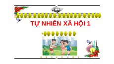 Giáo án Powerpoint Bài 14: Cơ thể em Tự nhiên xã hội lớp 1 Cánh diều