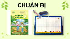 Giáo án Powerpoint Bài 16 Tự nhiên xã hội lớp 2 Kết nối tri thức: Thực vật sống ở đâu