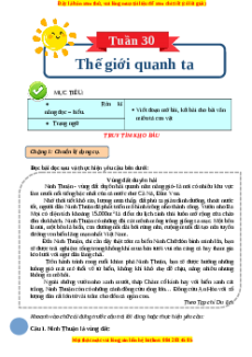 Bài tập cuối tuần Tiếng Việt 4 Tuần 30 Chân trời sáng tạo (có lời giải)