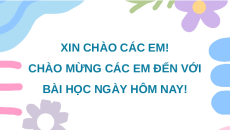 Giáo án Powerpoint Viết: Trả bài văn miêu tả cây cối (trang 46) Tiếng việt lớp 4 Chân trời sáng tạo (Phiên bản 2)
