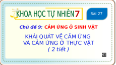 Giáo án Powerpoint Khái quát về cảm ứng và cảm ứng ở thực vật Sinh học - KHTN 7 Cánh diều